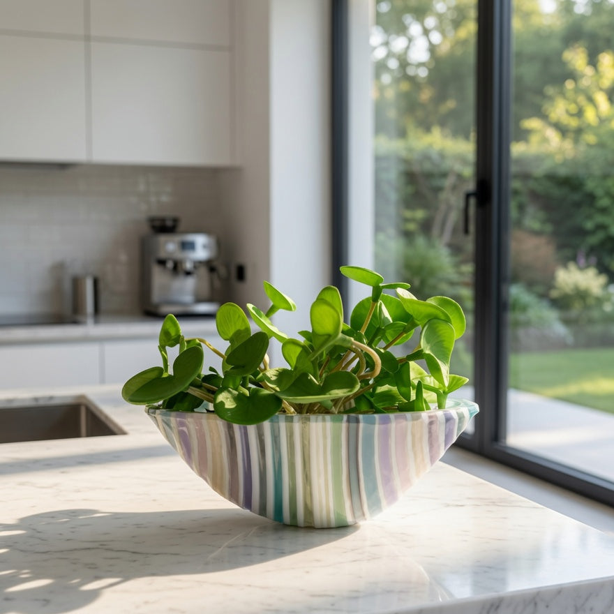 A green leafy plant in a pastel striped glass vase, placed on a white marble kitchen countertop with a modern kitchen and large window in the background.