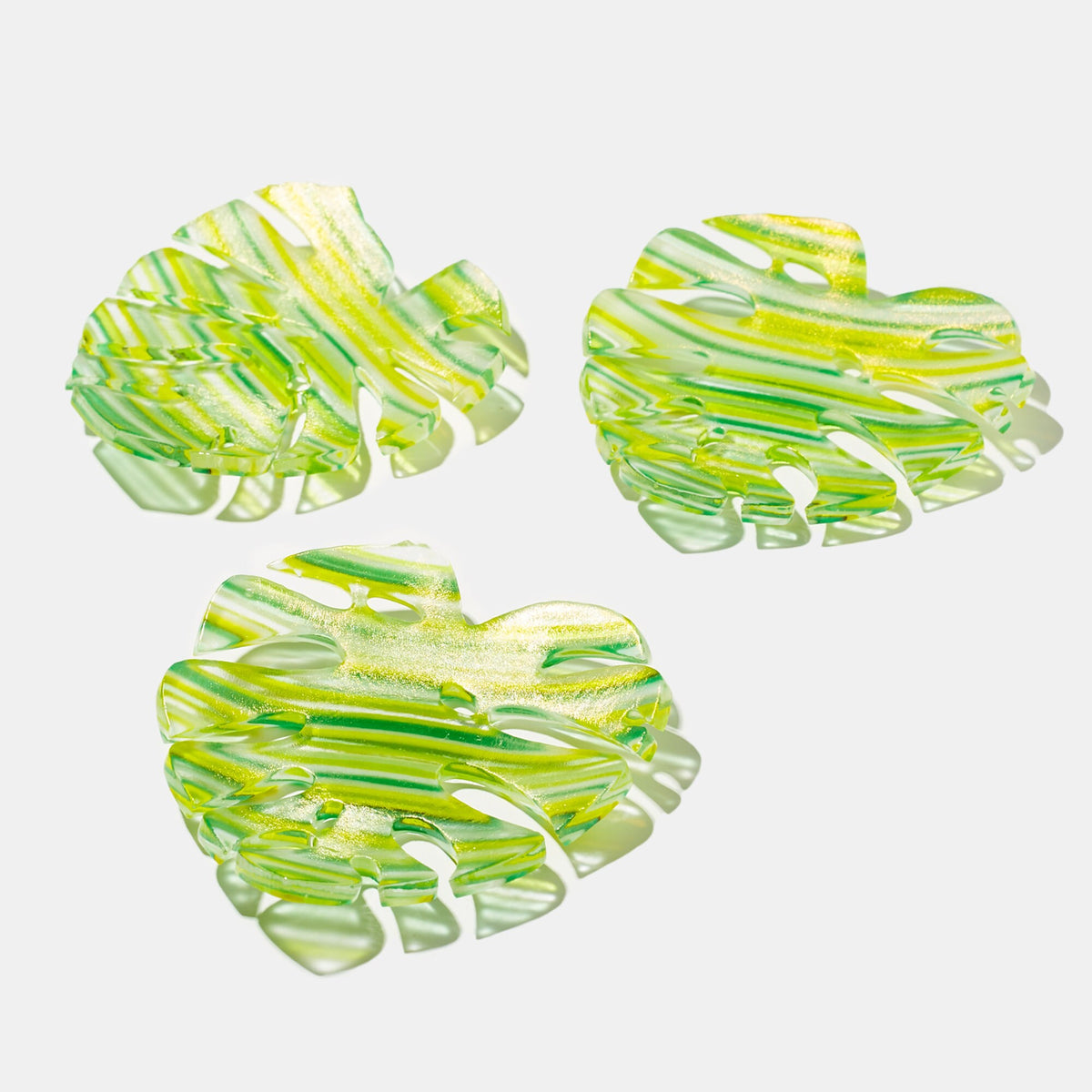 flowering Monstera Mini 