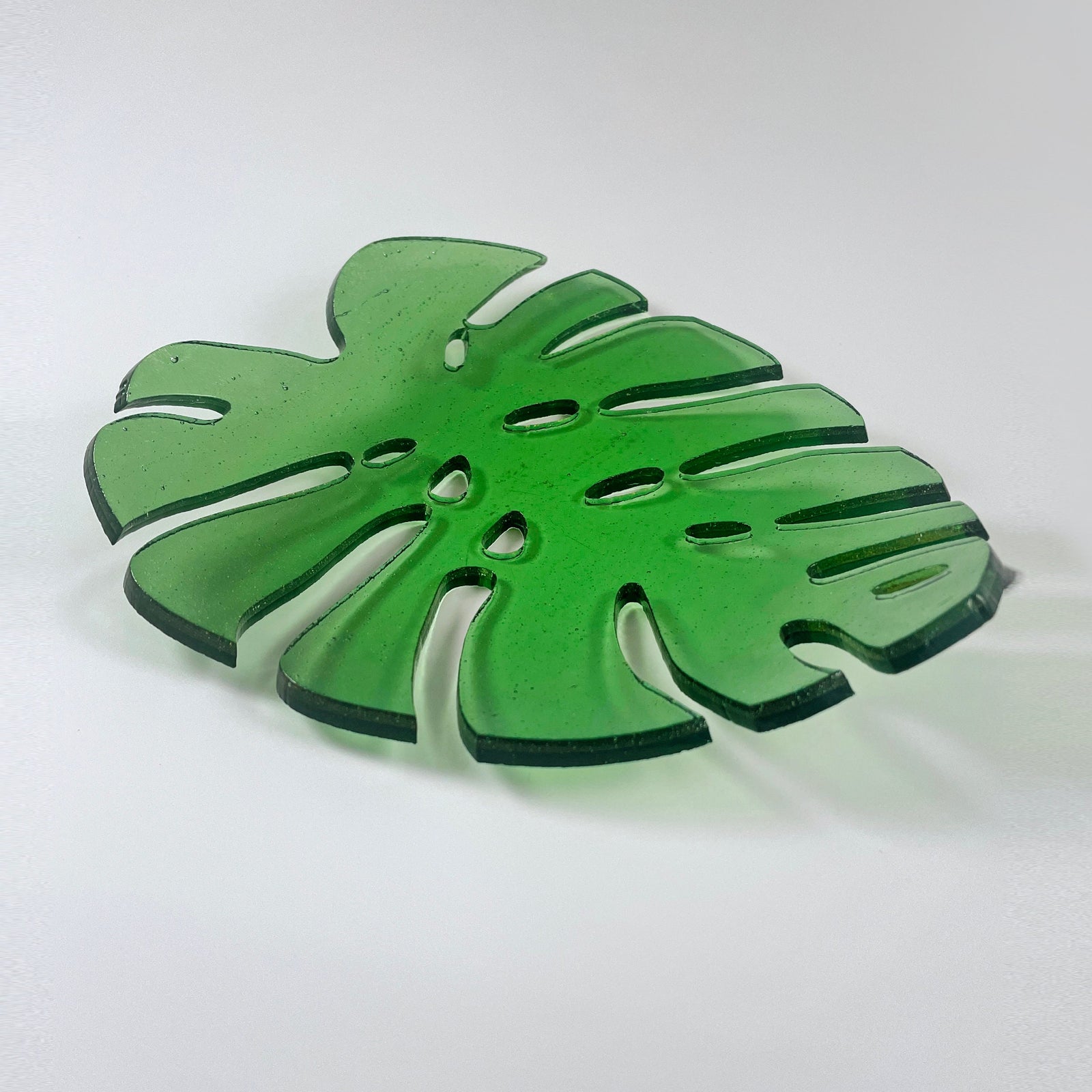 Monstera