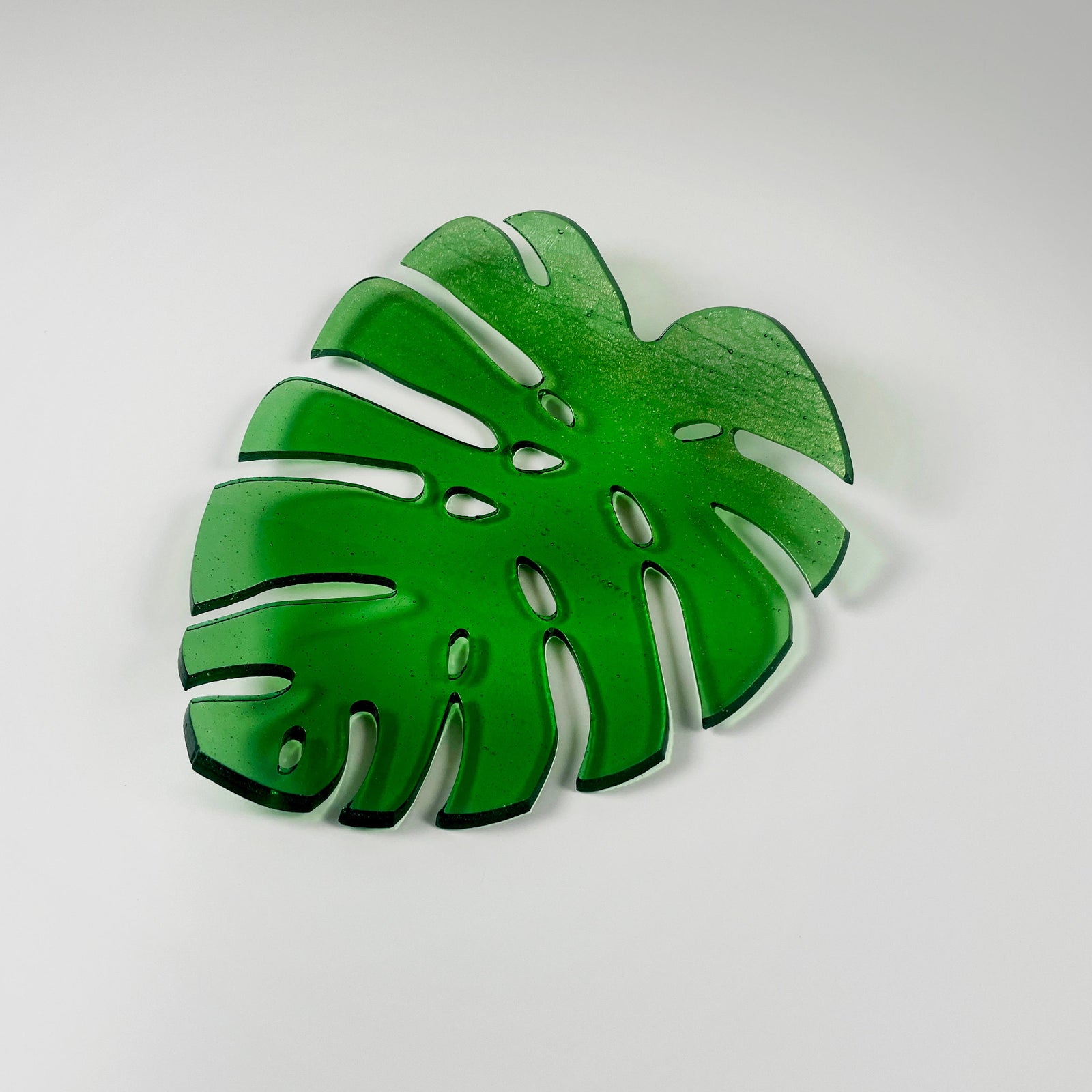 Monstera