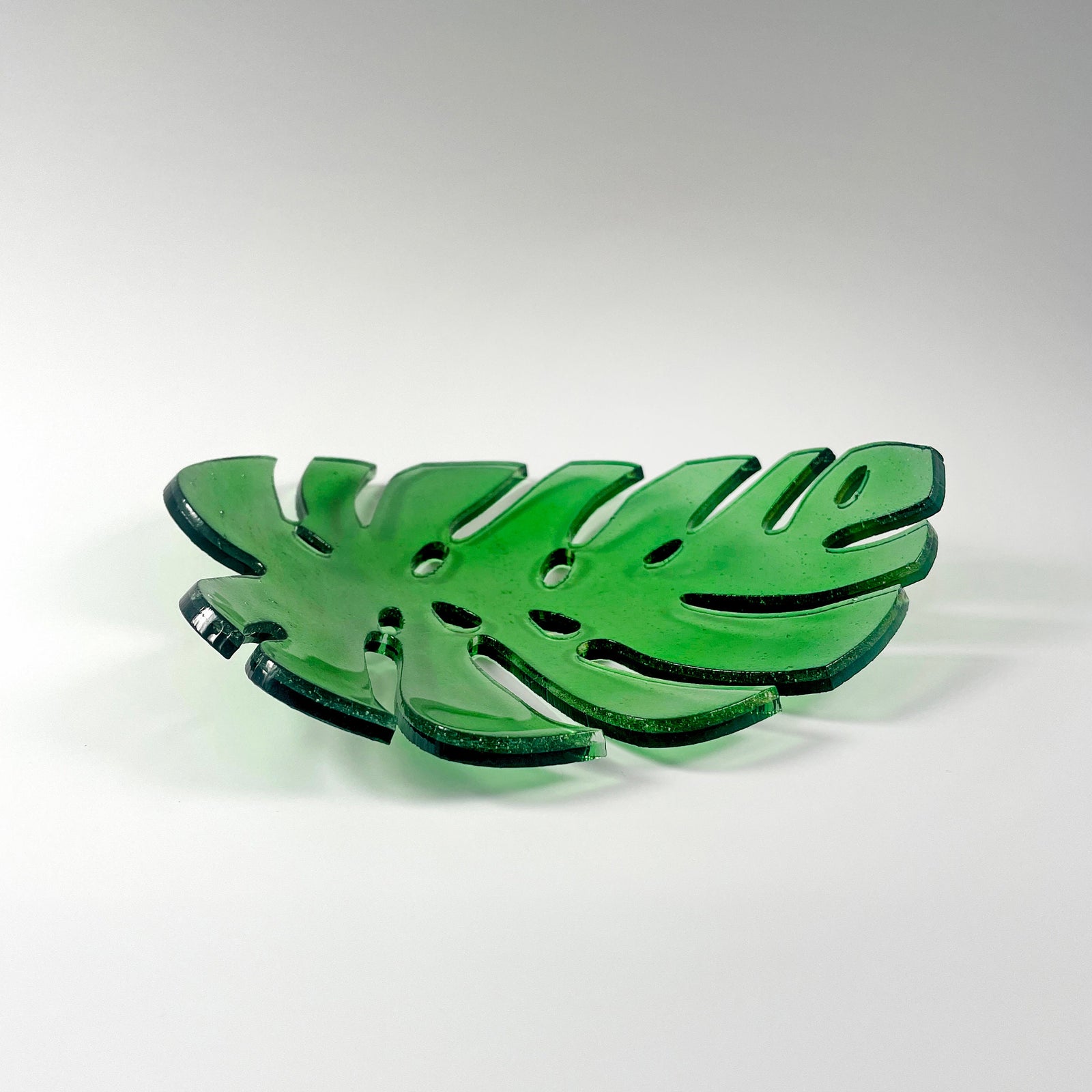Monstera